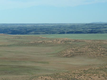 N083