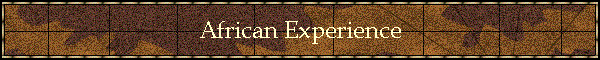 African Experience