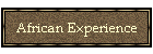 African Experience