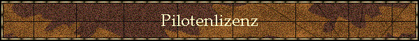 Pilotenlizenz